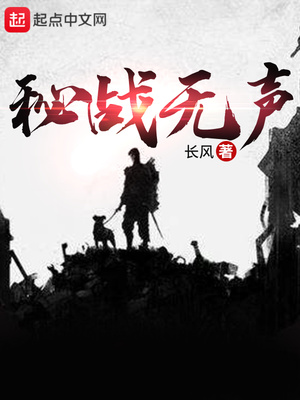 秘战无声TXT下载校对版