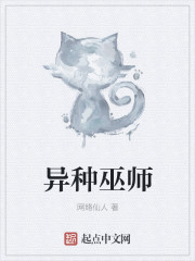 巫师类的小说