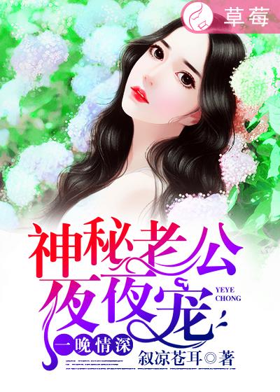 一晚情深老公宠妻入骨