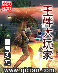 王牌 epub