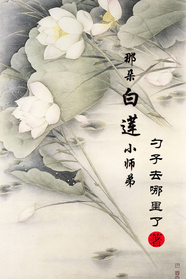 莲花梦迟小说