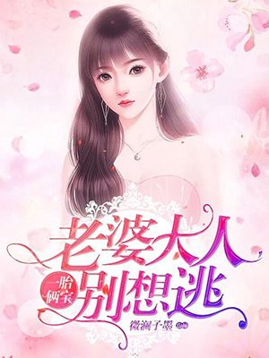 一胎俩宝老婆大人别想逃结局是什么