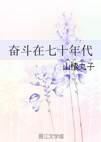 奋斗在七十年代女穿男下载