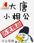 大唐小相公第二部写了没