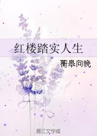 红楼女人奋斗记全文免费阅读