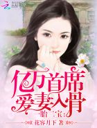 一胎二宝:亿万首席爱妻入骨