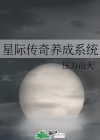 星际传奇养成系统