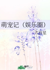 萌宠记 小说txt