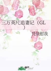 三万英尺追妻记gl是双洁吗