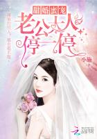 霸道婚宠早安老公大人漫画