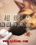 我是传奇系列dvd