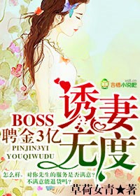 boss惑妻无度小说