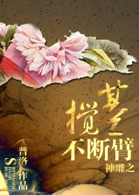 神雕侠侣 情节