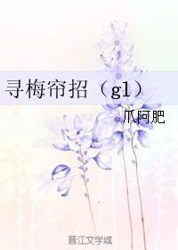 寻梅帘招gl小说