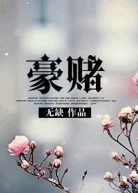 这是一场豪赌是什么意思