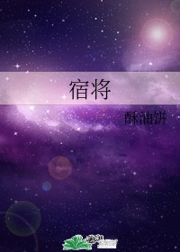 宿将是什么意思在字典里