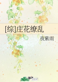 综庄花缭乱夜紫雨小说免费阅读