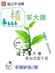 小说女主叫洛诗涵的小说