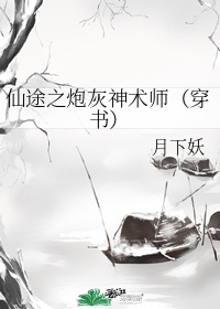 仙途之炮灰神术师小说