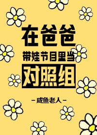 《在爸爸带娃节目里当对照组》 作者:咸鱼老人