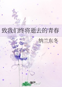 致我们终将逝去的青春歌词王菲