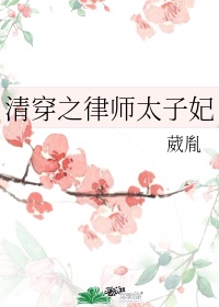 穿越之律师太子妃免费阅读