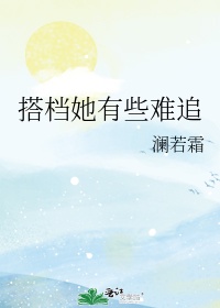 《搭档》