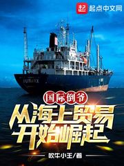 从海上开始崛起正版