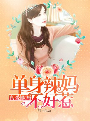 电视剧假婚真爱免费观看