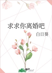 求求你离婚吧沈婉华陆振国19章