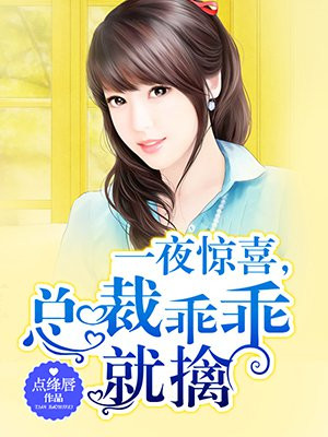 一夜惊喜 总裁大人体力好