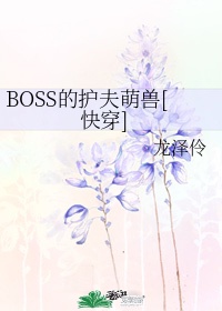 boss的护夫萌兽快穿免费阅读小说