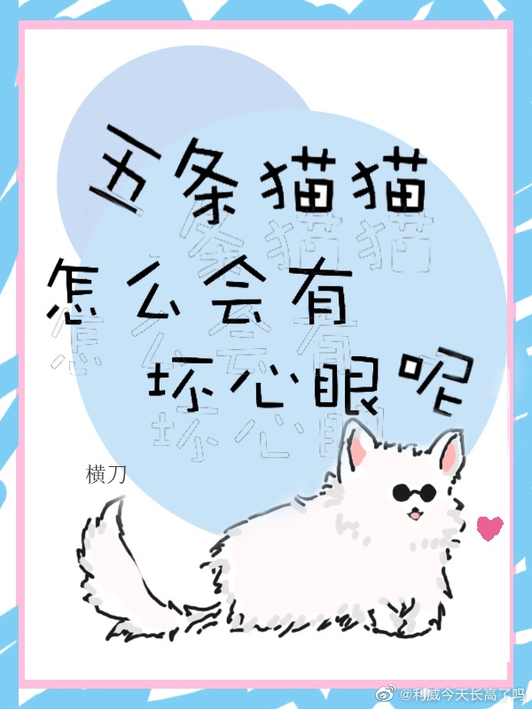 五条猫壁纸