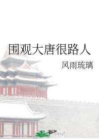 穿越之围观大唐讲什么