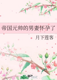 少帅又在闹离婚[星际