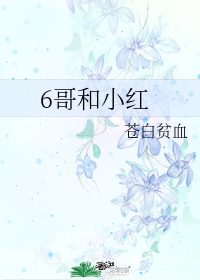 小红和芸哥结局