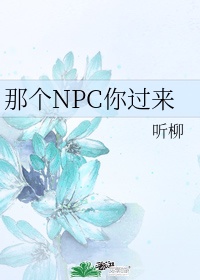 那个npc杀疯了 百度网盘