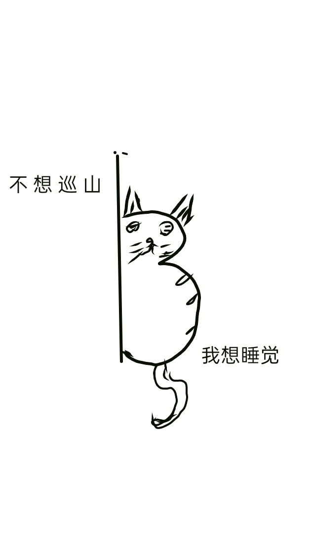 我成了一只猫小说