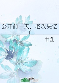 奉旨成婚后老攻失忆了