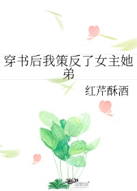 穿书后我策反了女主她弟晋江文学