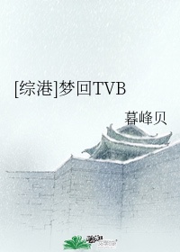 综梦回tvb百度云