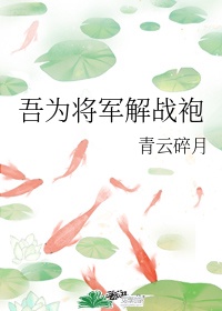 吾为将军解战袍百度网盘