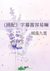 字幕组是什么意思