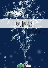 凤栖梧柳永表达情感