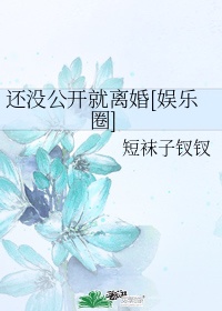 还没公开就离婚[娱乐圈