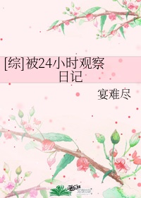 24小时观察日记