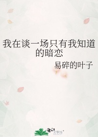 我在谈一场只有我知道的暗恋歌词是什么歌