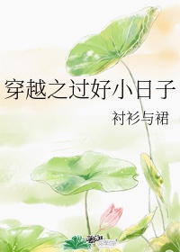 穿越打小日子视频