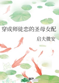 穿成师徒恋的圣母女配晋江文学城小说