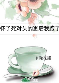 怀了死对头的崽以后(娱乐圈)作者:长河不落月